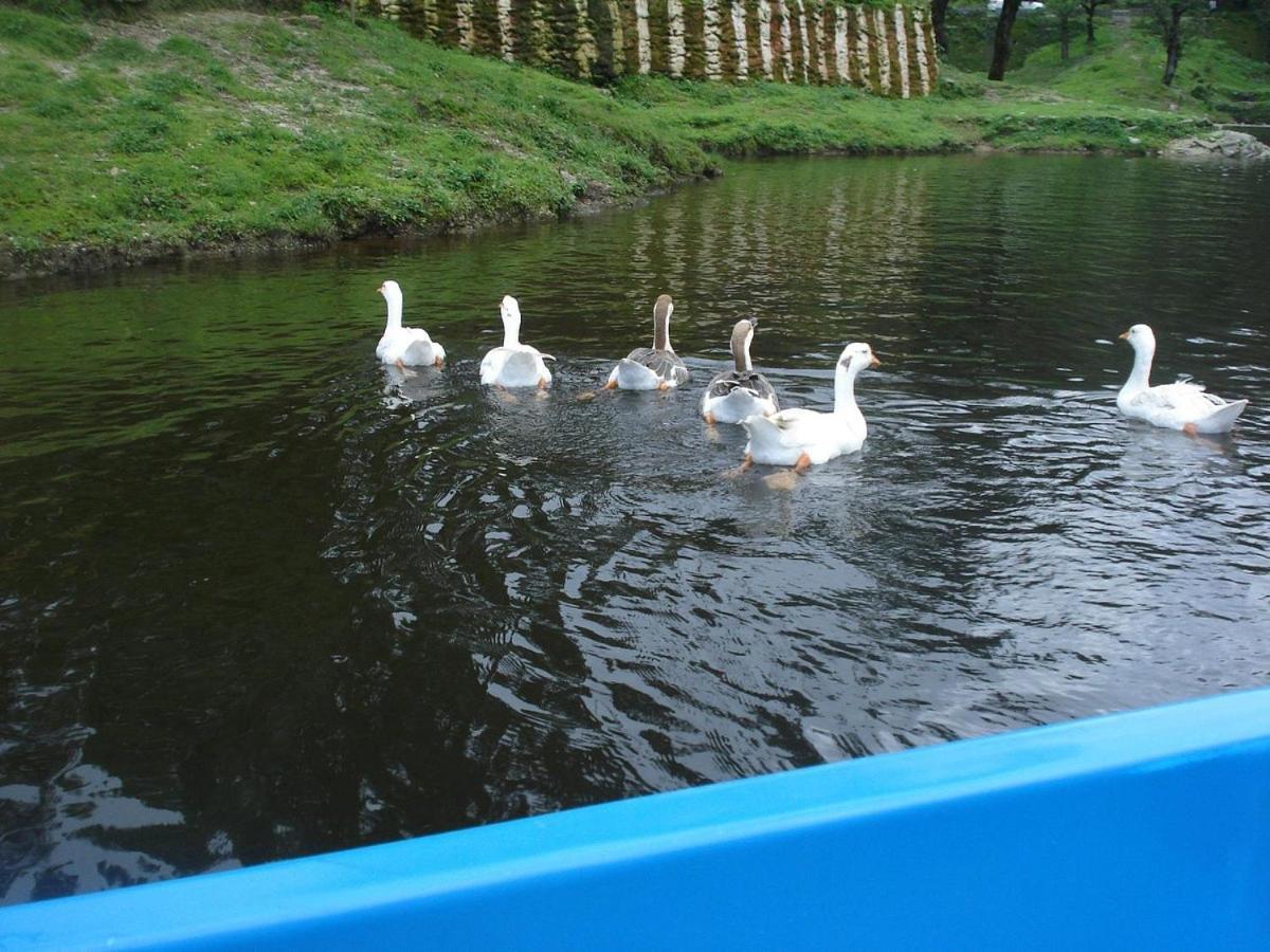 Riverside Resort Лансдаун Екстериор снимка